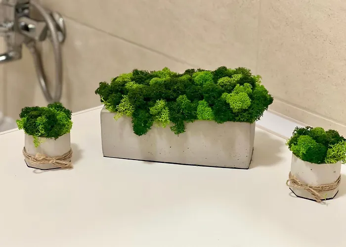 Osapart At Shevchenka 19 Street * Lviv