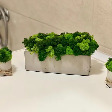 Osapart At Shevchenka 19 Street * Leopoli