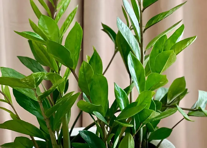 Osapart At Shevchenka 19 Street Apartamento *