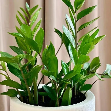 Osapart At Shevchenka 19 Street Appartement *